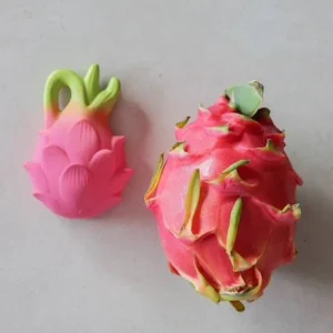 Fushia Le Fruit Du Dragon – OLI & CAROL Rose – Oli Et Carol 14