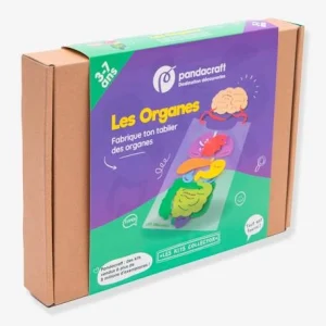 Kit Collector Les Organes Du Corps 3/7 Ans PANDACRAFT Violet – Pandacraft 10